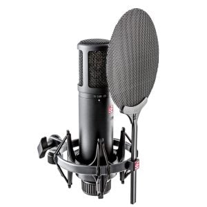 sE Electronics sE2200