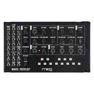 Moog Mavis