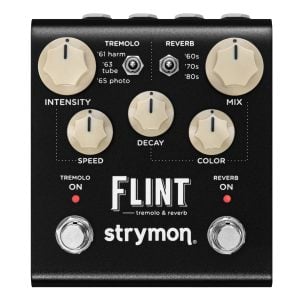 Strymon Flint V2
